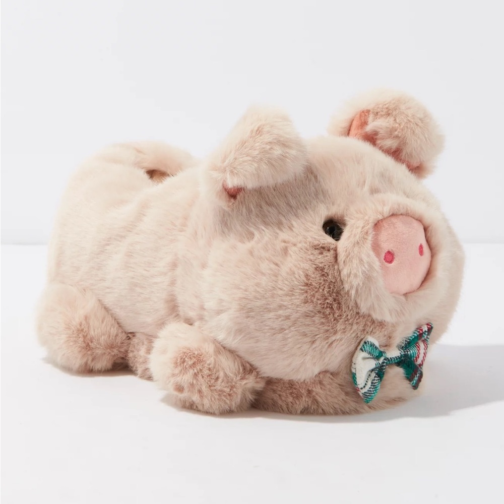 BNWOT American Eagle AE Pig Slippers